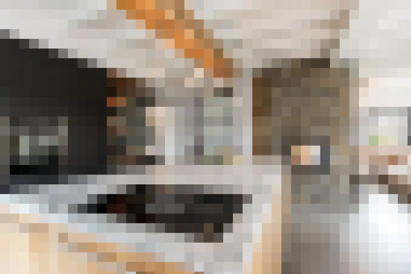 Ridderstraat 17 a Gameren thumbnail 7
