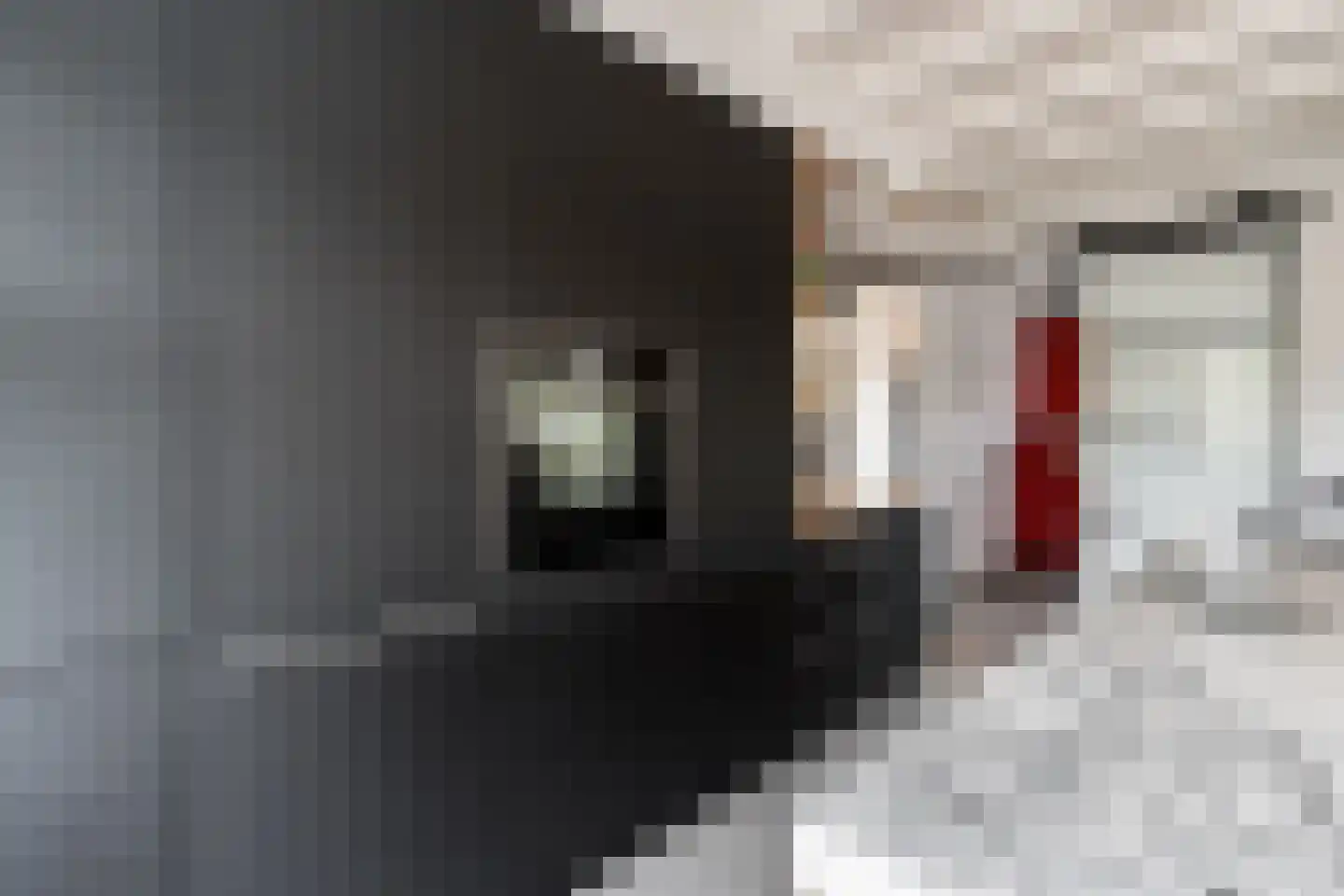 Ridderstraat 17 a Gameren thumbnail 8