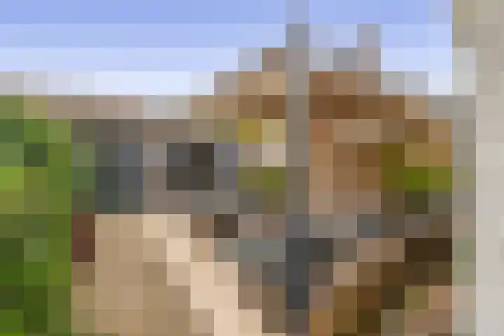 Ridderstraat 17 Tilburg thumbnail 17