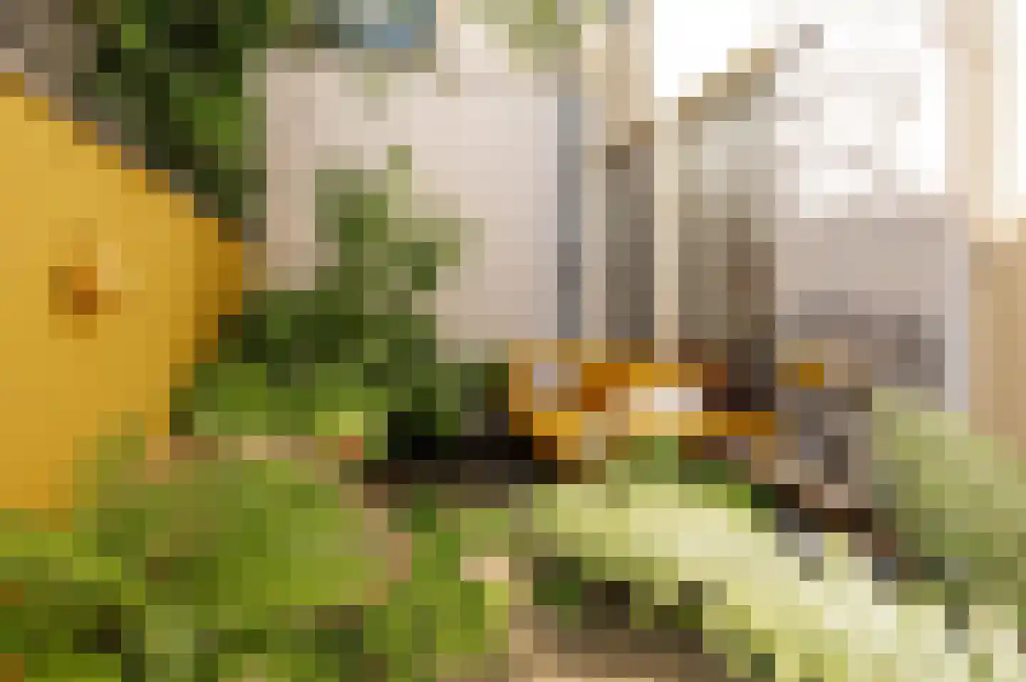 Ridderstraat 184 h Culemborg thumbnail 15