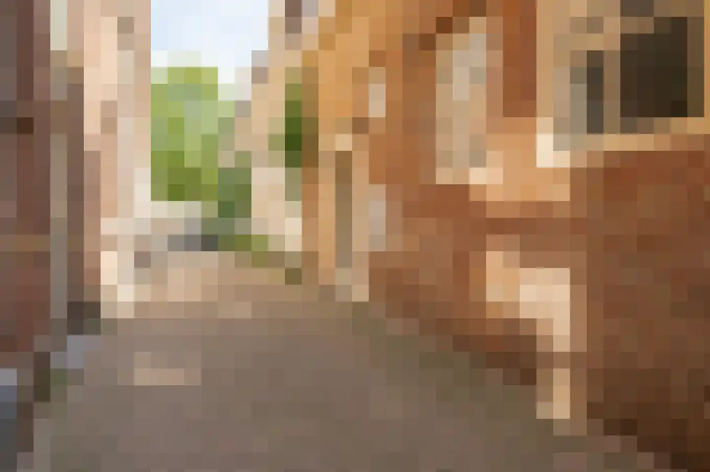 Ridderstraat 184 h Culemborg thumbnail 4