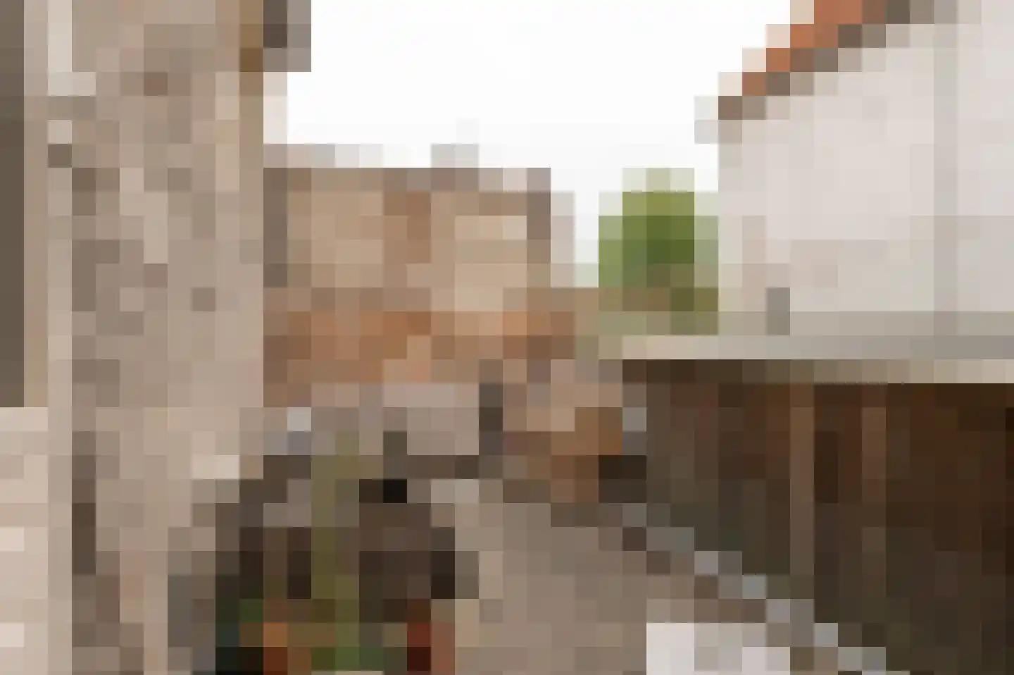 Ridderstraat 2 b Culemborg thumbnail 21