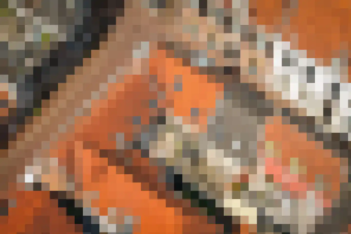 Ridderstraat 2 b Culemborg thumbnail 33