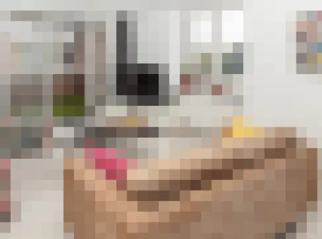 Ridderstraat 2 Etten-Leur thumbnail 18