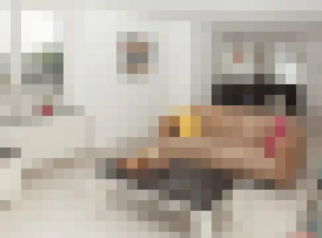 Ridderstraat 2 Etten-Leur thumbnail 21