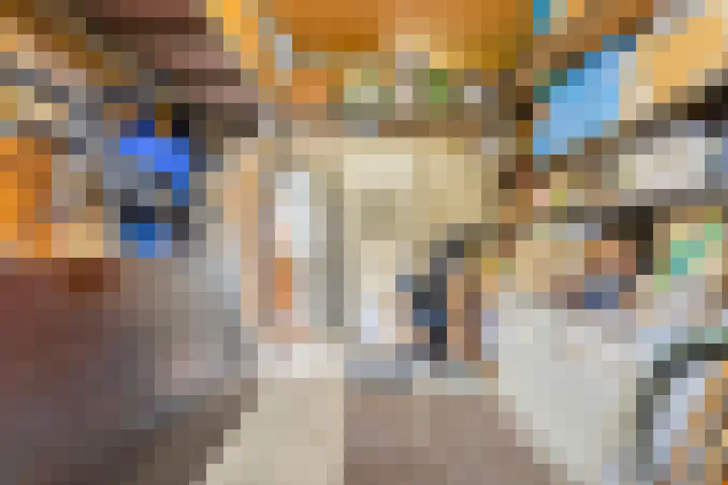 Ridderstraat 2 's-Heer Arendskerke thumbnail 34