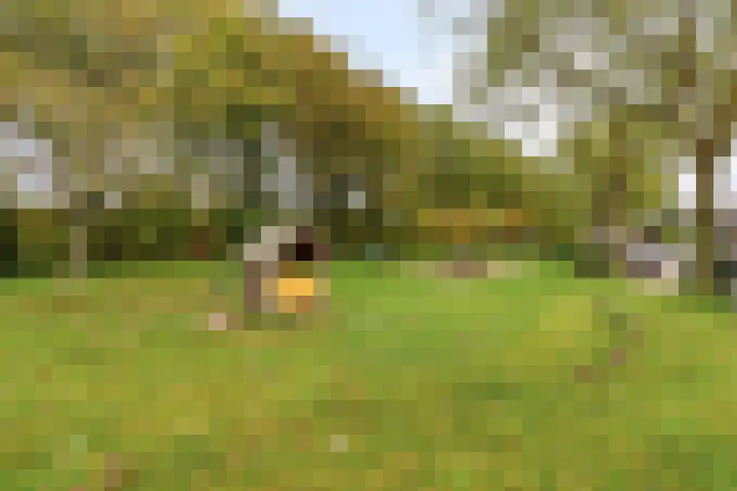 Ridderstraat 2 's-Heer Arendskerke thumbnail 39