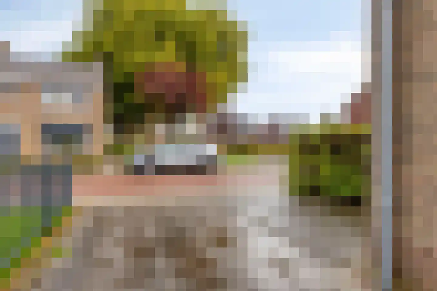 Ridderstraat 2 's-Heer Arendskerke thumbnail 9