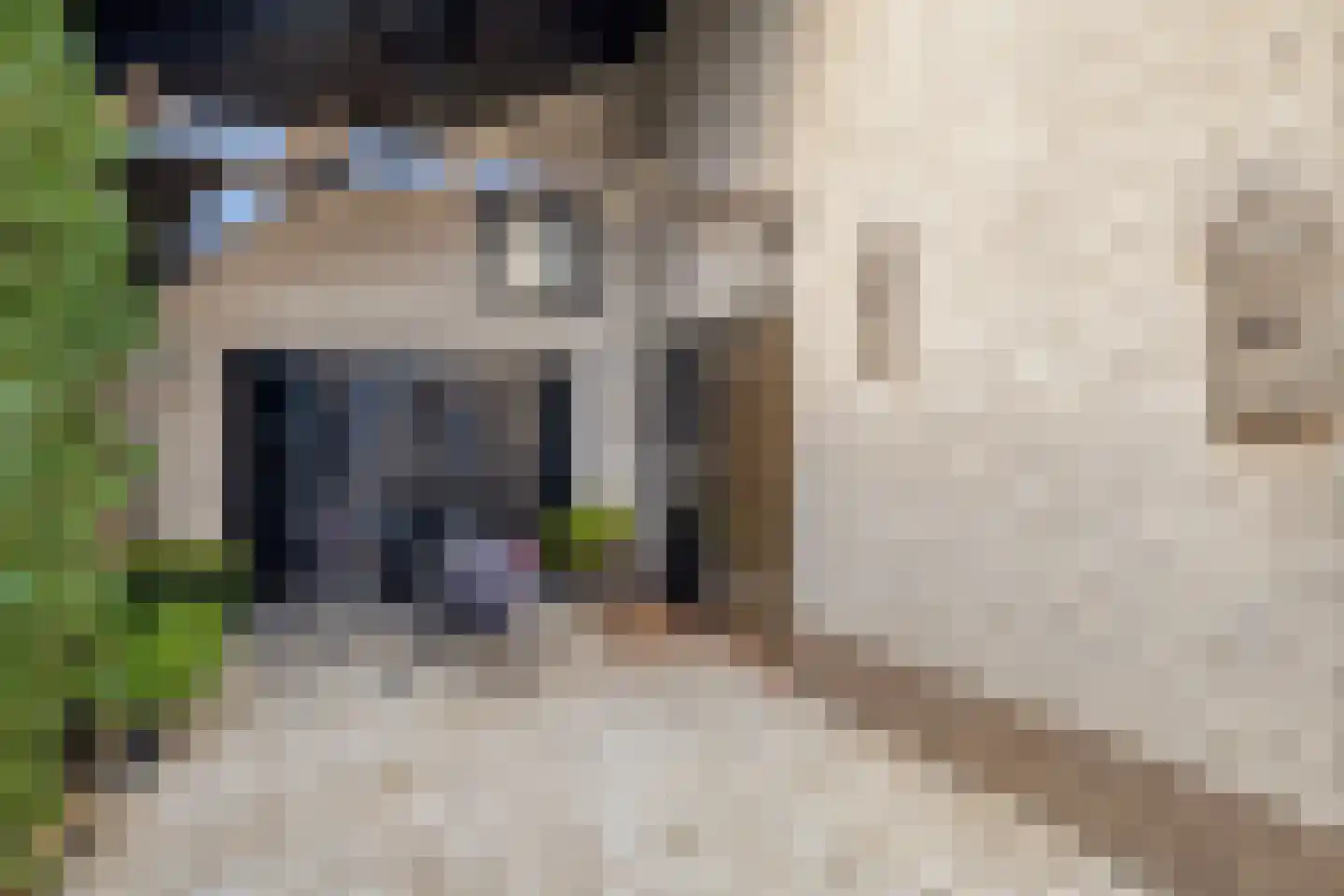 Ridderstraat 2 Woerden thumbnail 11