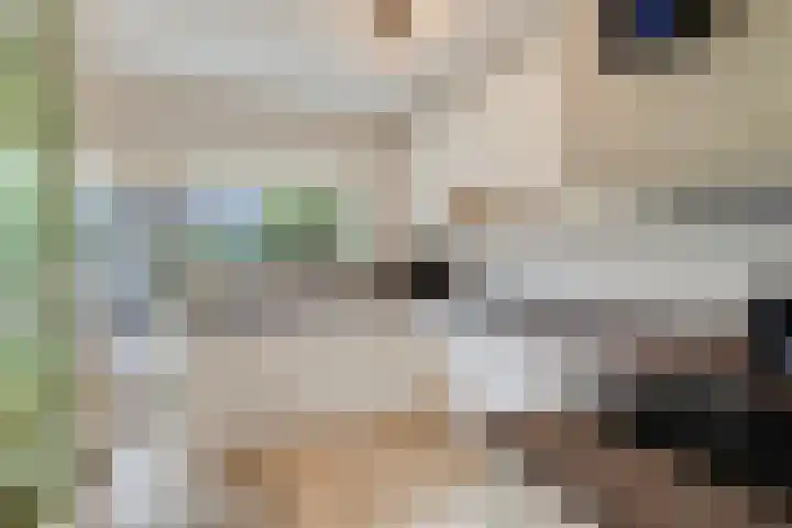 Ridderstraat 2 Woerden thumbnail 21