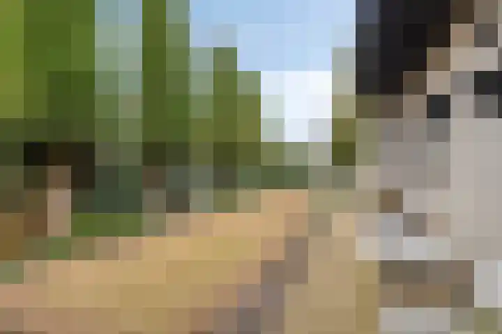 Ridderstraat 2 Woerden thumbnail 39