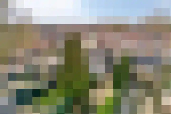 Ridderstraat 2 Woerden thumbnail 4
