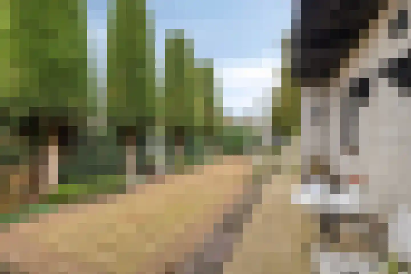 Ridderstraat 2 Woerden thumbnail 41
