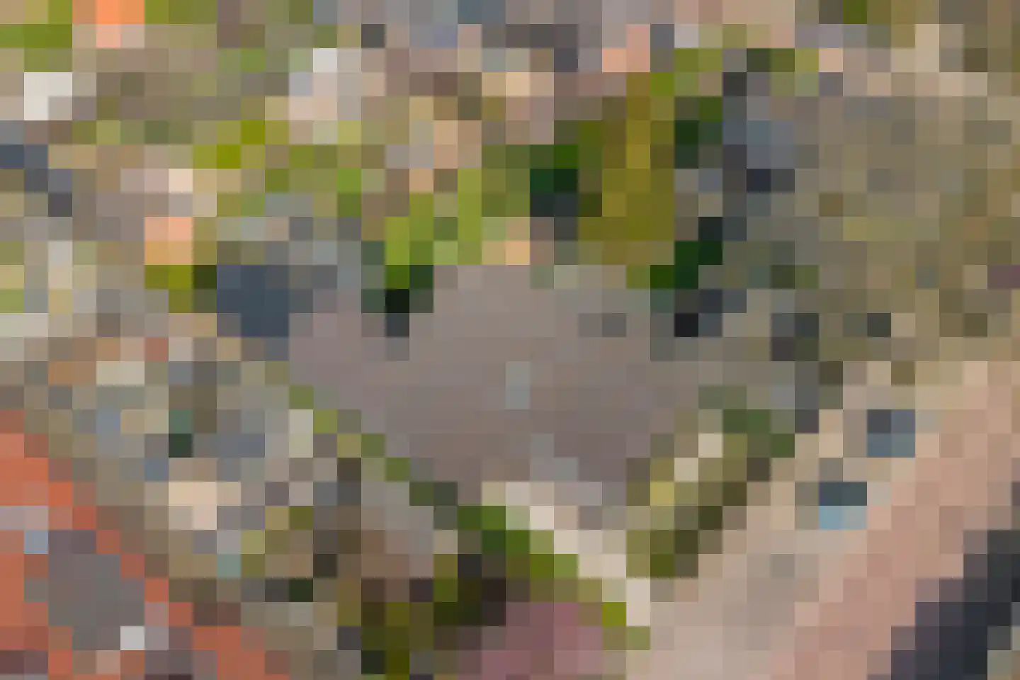 Ridderstraat 2 Woerden thumbnail 48