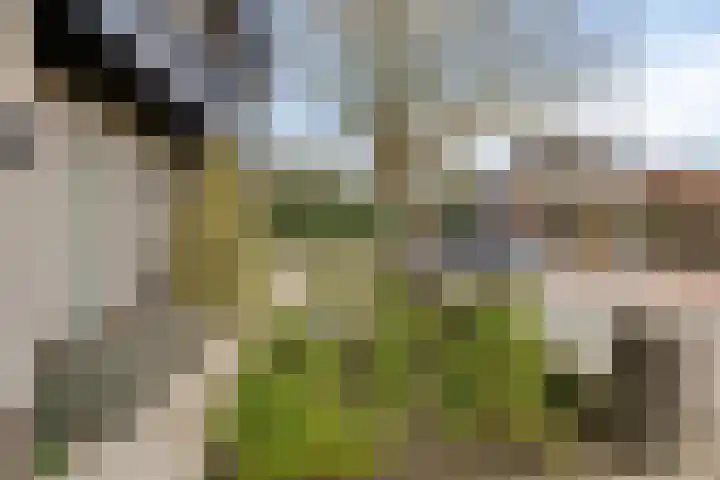 Ridderstraat 2 Woerden thumbnail 8
