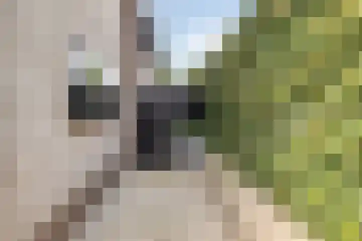 Ridderstraat 2 Woerden thumbnail 9