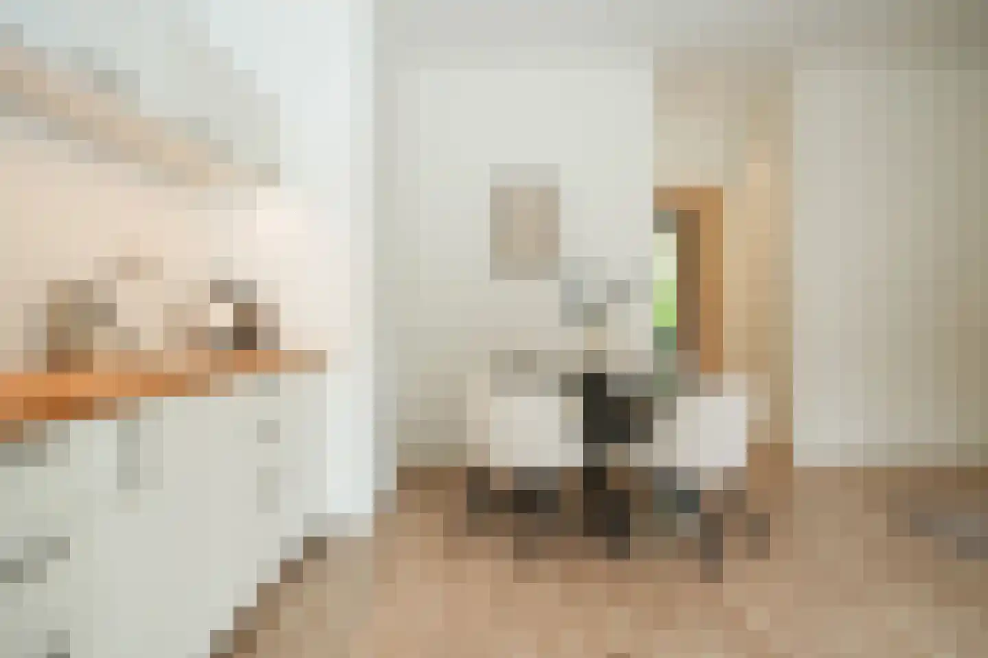 Ridderstraat 216 Culemborg thumbnail 18