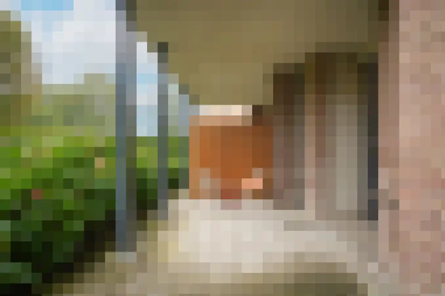 Ridderstraat 216 Culemborg thumbnail 28