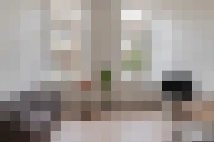 Ridderstraat 22 Culemborg thumbnail 4