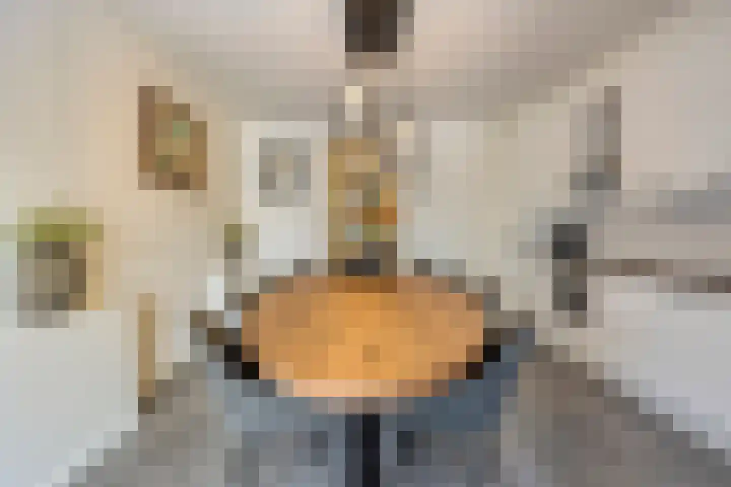 Ridderstraat 24 Gameren thumbnail 13