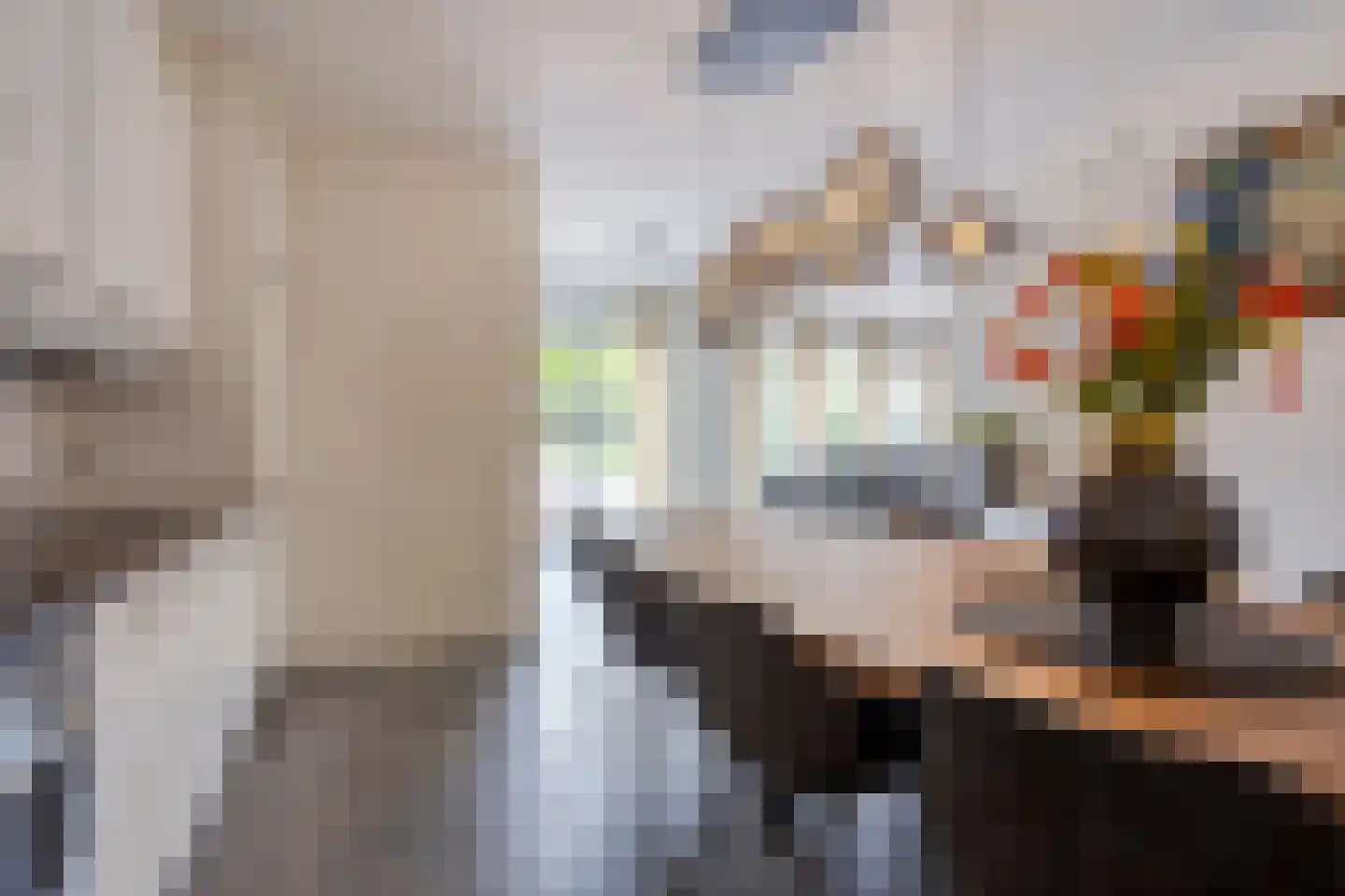 Ridderstraat 24 Gameren thumbnail 14