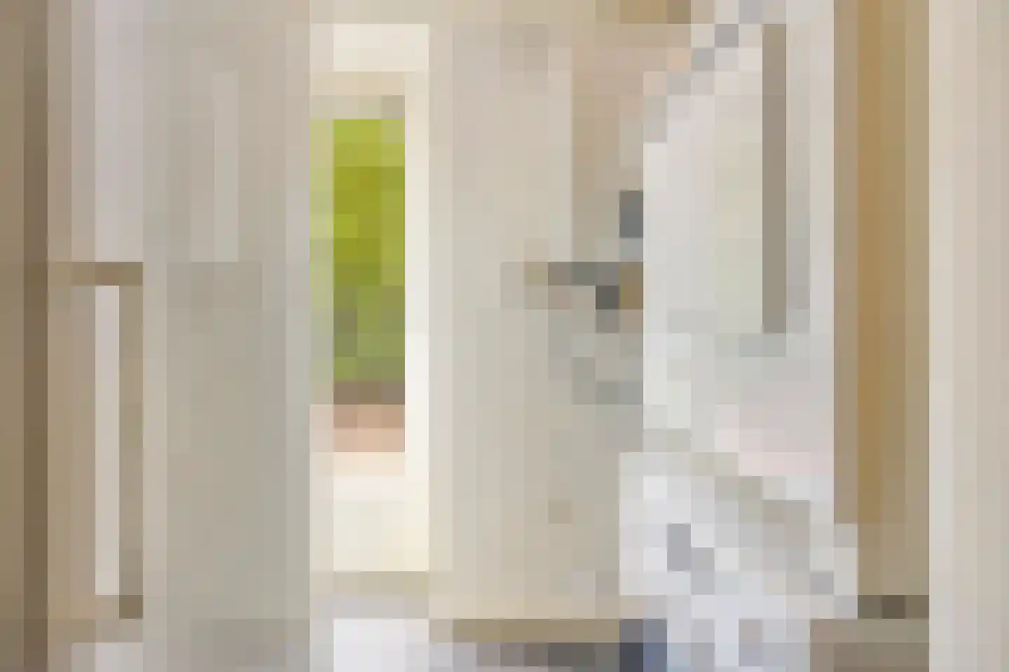 Ridderstraat 24 Gameren thumbnail 20