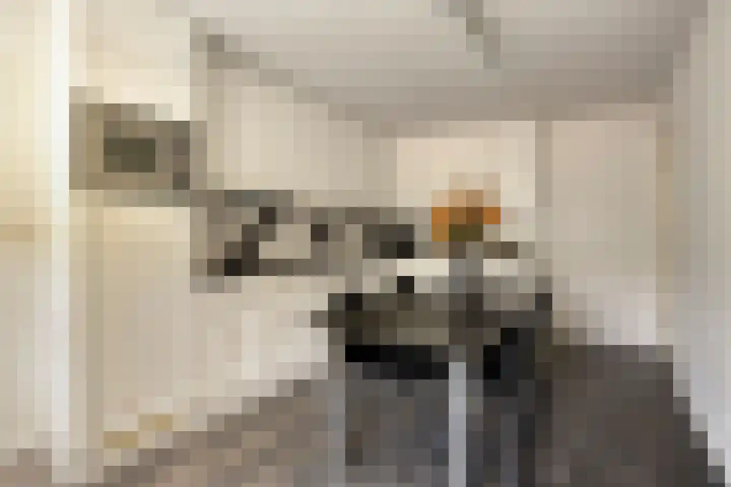 Ridderstraat 24 Gameren thumbnail 30