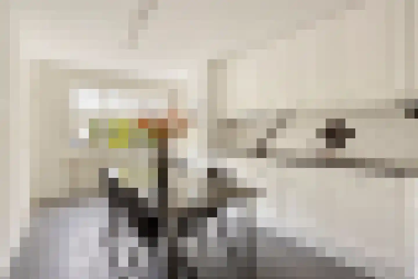 Ridderstraat 24 Gameren thumbnail 32