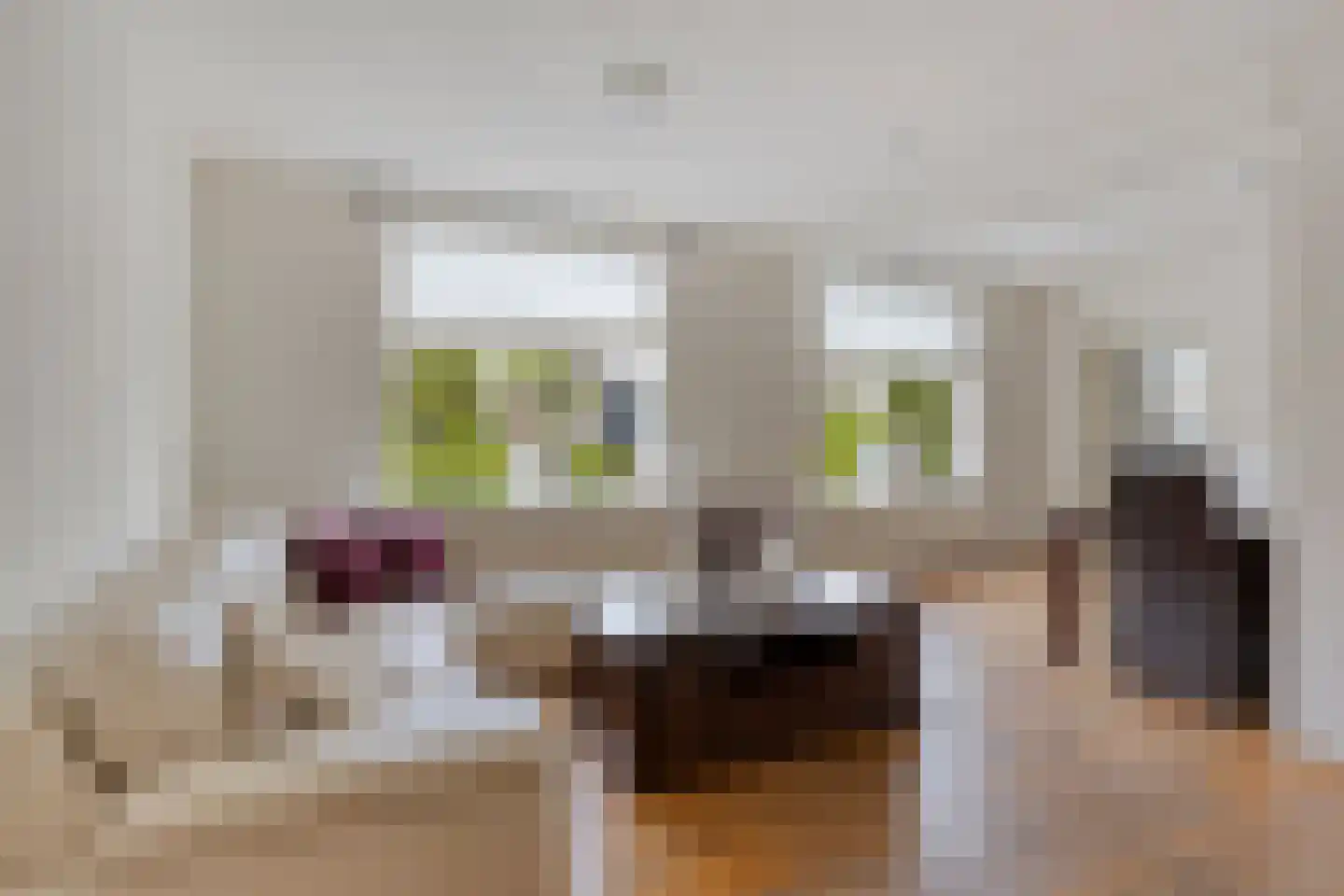 Ridderstraat 24 Gameren thumbnail 34