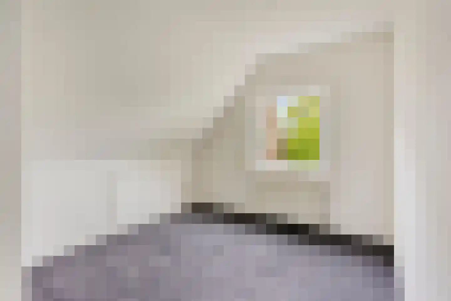 Ridderstraat 24 Gameren thumbnail 42