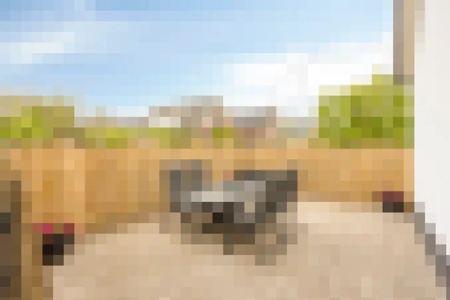 Ridderstraat 24 Gameren thumbnail 46