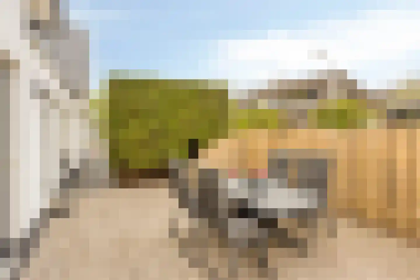 Ridderstraat 24 Gameren thumbnail 47