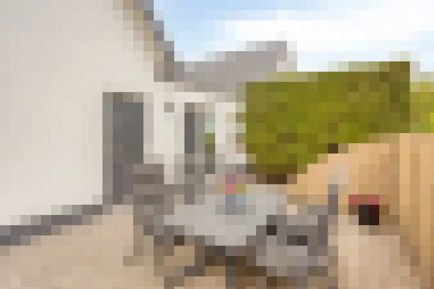 Ridderstraat 24 Gameren thumbnail 48