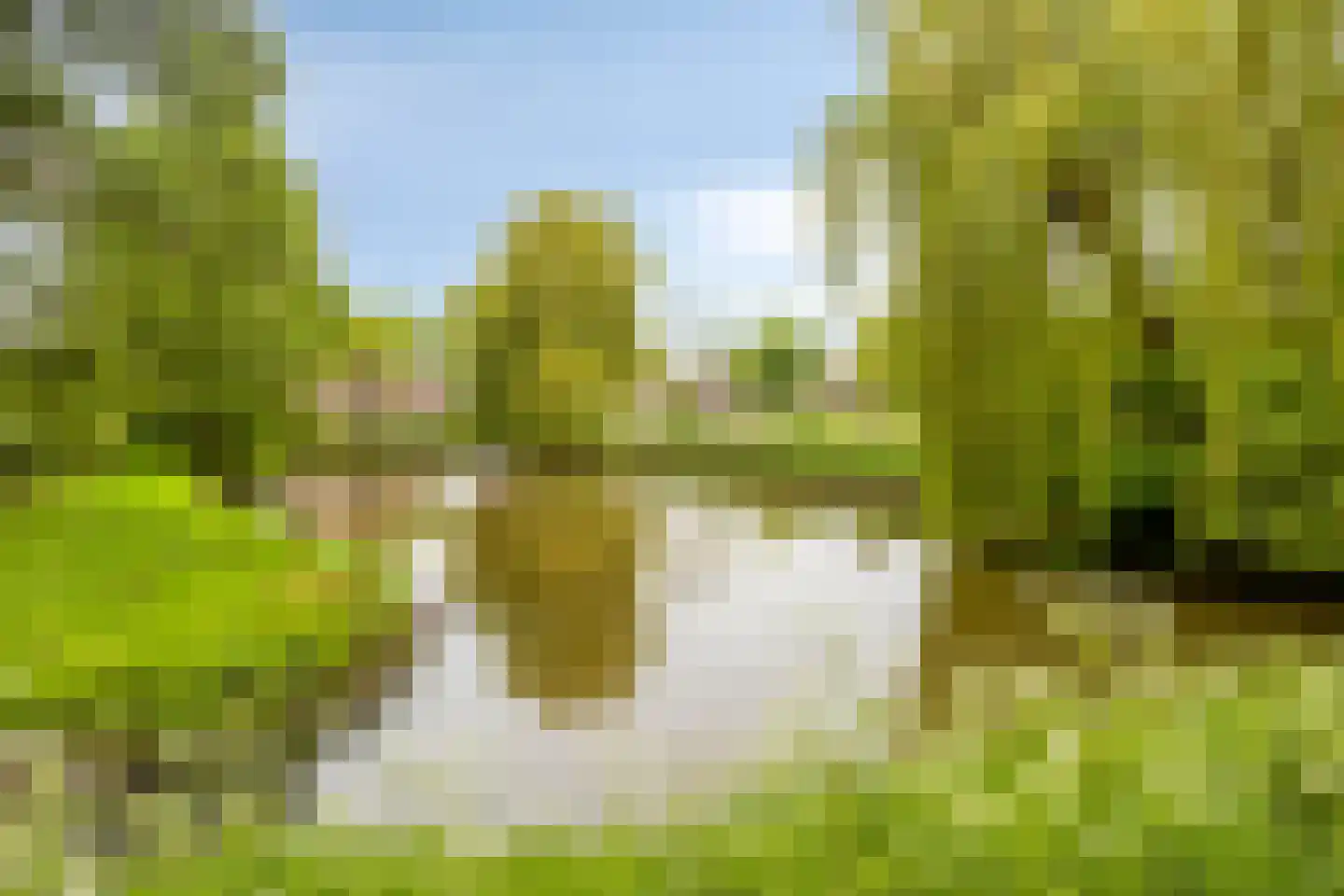 Ridderstraat 24 Gameren thumbnail 54