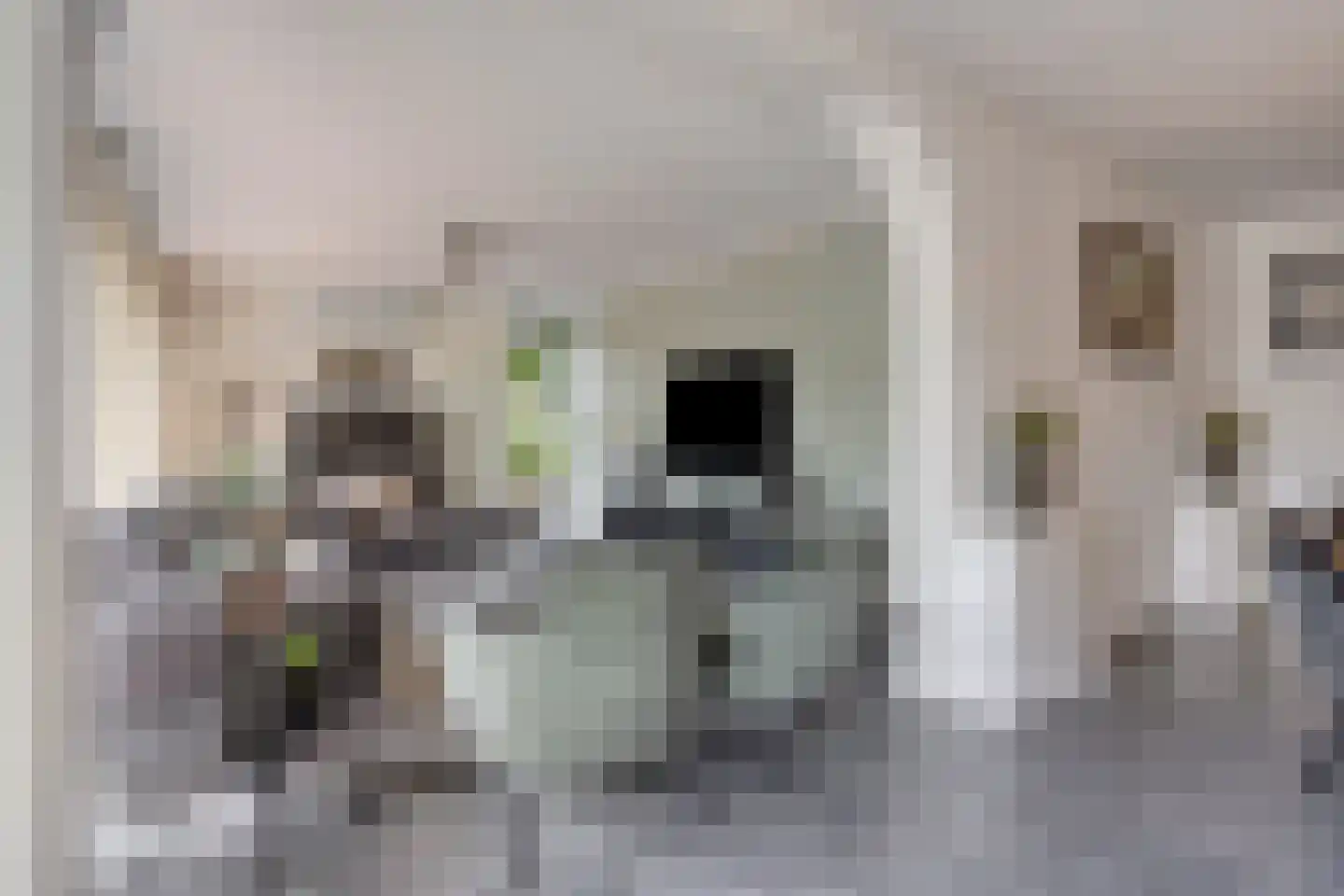 Ridderstraat 24 Gameren thumbnail 9