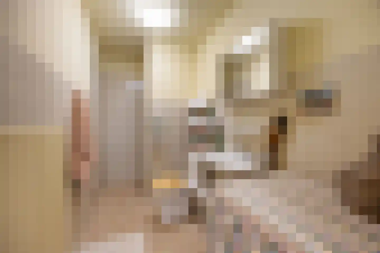 Ridderstraat 26 Nijmegen thumbnail 21