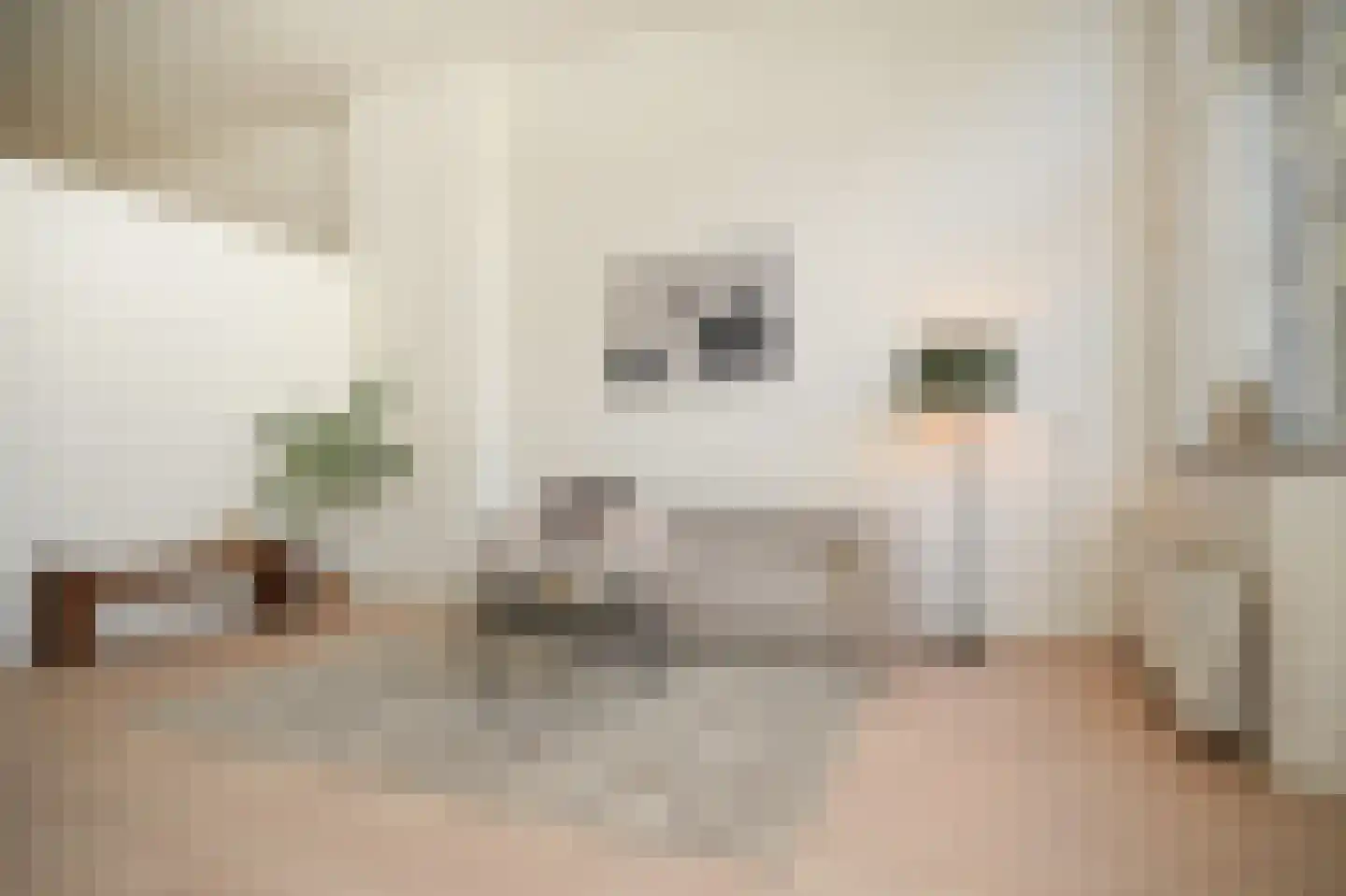 Ridderstraat 28 Culemborg thumbnail 4