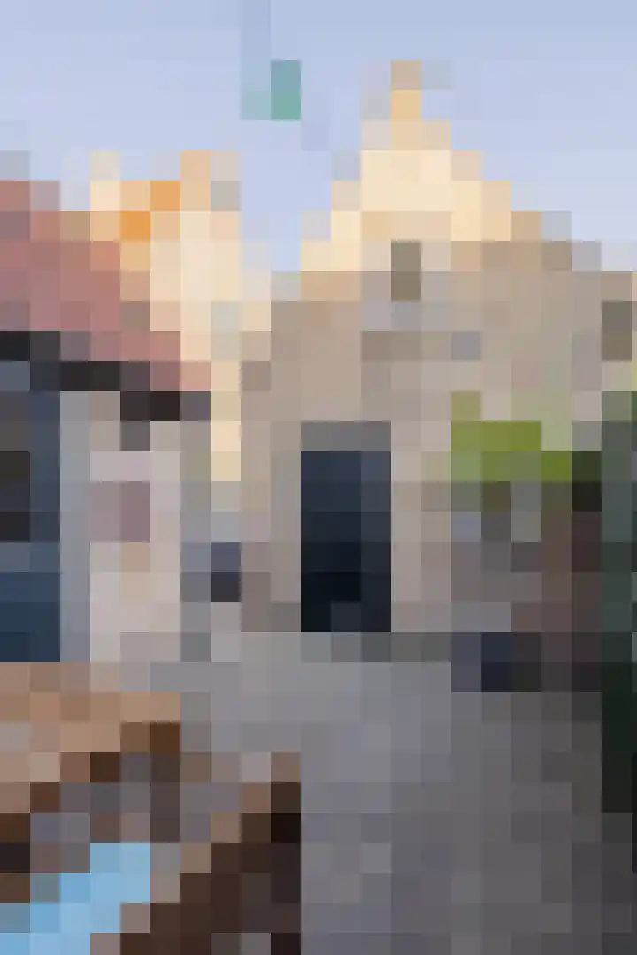 Ridderstraat 28 Heusden thumbnail 45