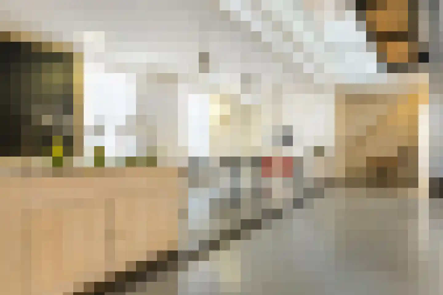 Ridderstraat 29 Haarlem thumbnail 18