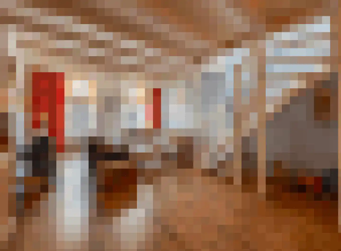 Ridderstraat 3 Culemborg thumbnail 18