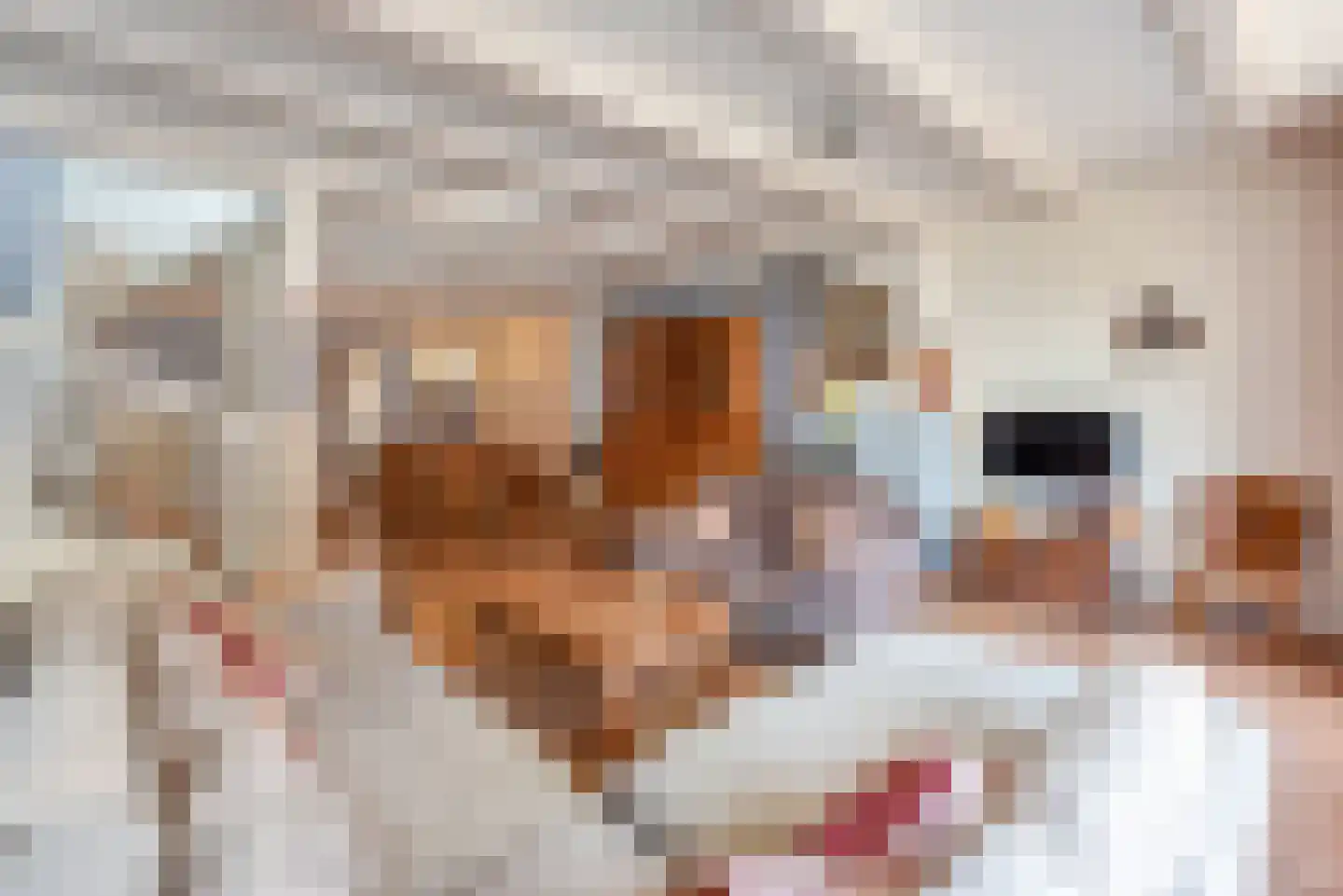 Ridderstraat 3 Culemborg thumbnail 23