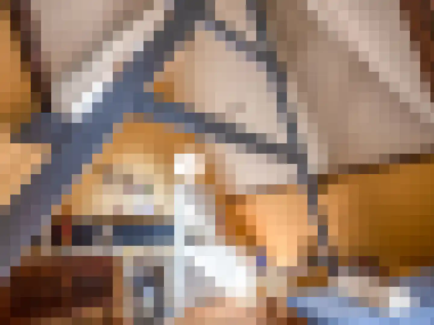 Ridderstraat 3 Culemborg thumbnail 26