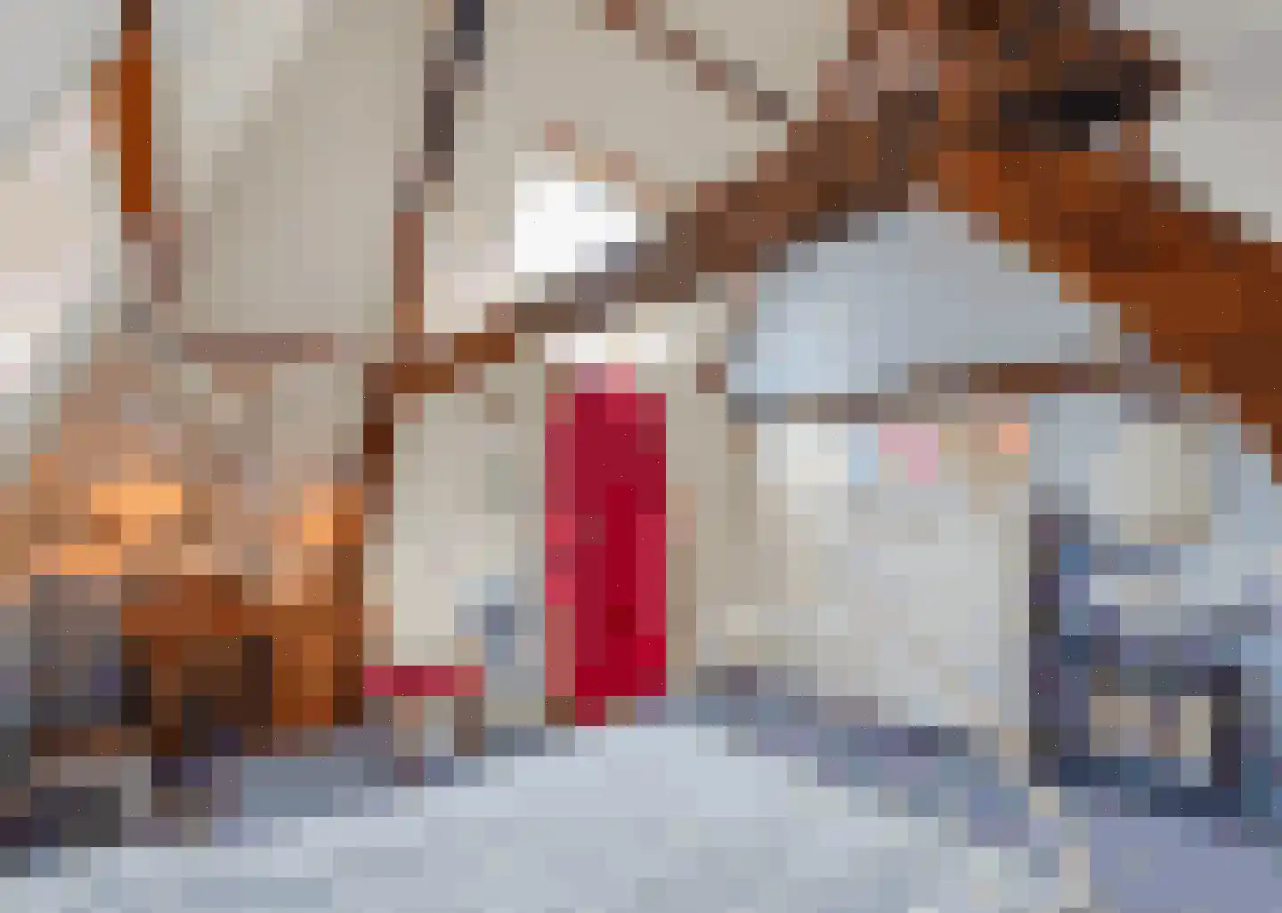Ridderstraat 3 Culemborg thumbnail 30