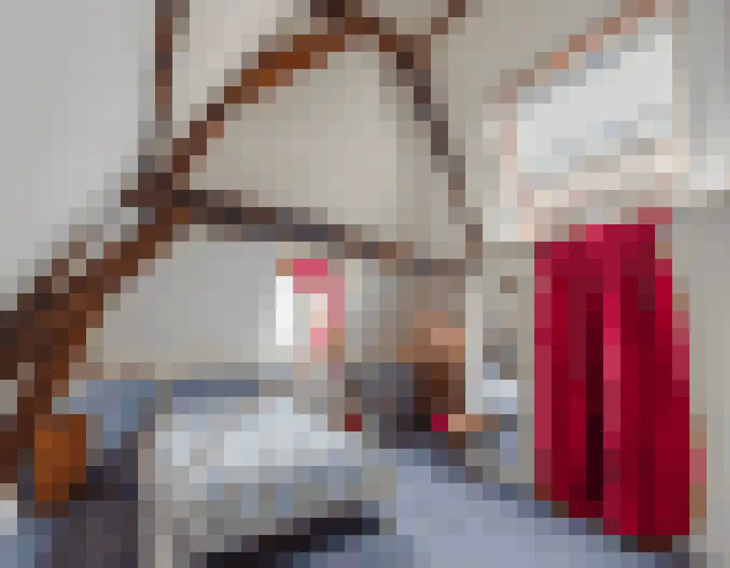 Ridderstraat 3 Culemborg thumbnail 31