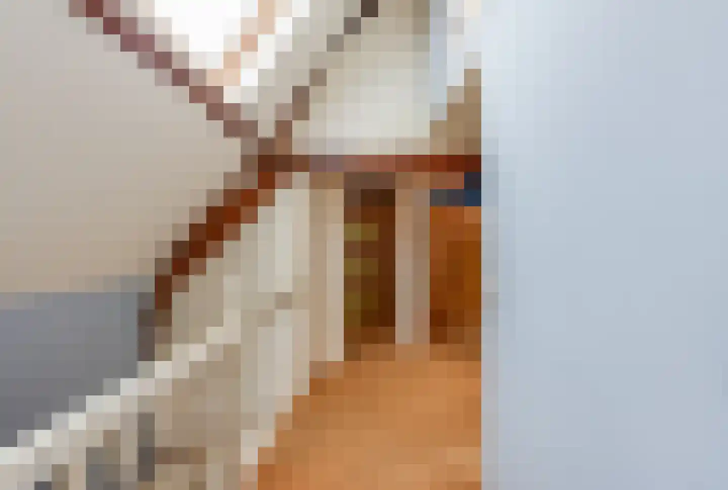 Ridderstraat 3 Culemborg thumbnail 32