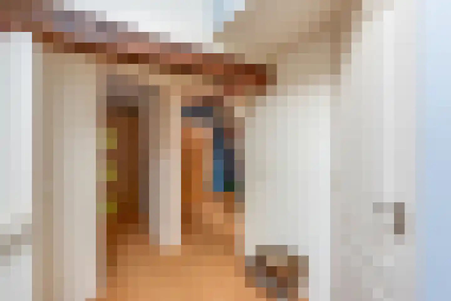 Ridderstraat 3 Culemborg thumbnail 33