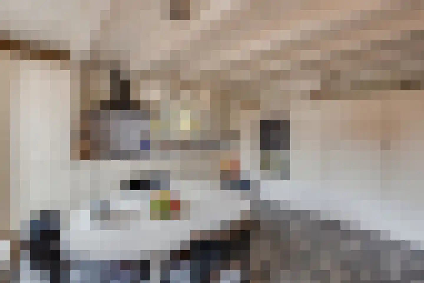 Ridderstraat 3 Culemborg thumbnail 4