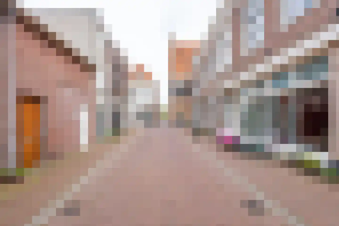 Ridderstraat 3 Culemborg thumbnail 49