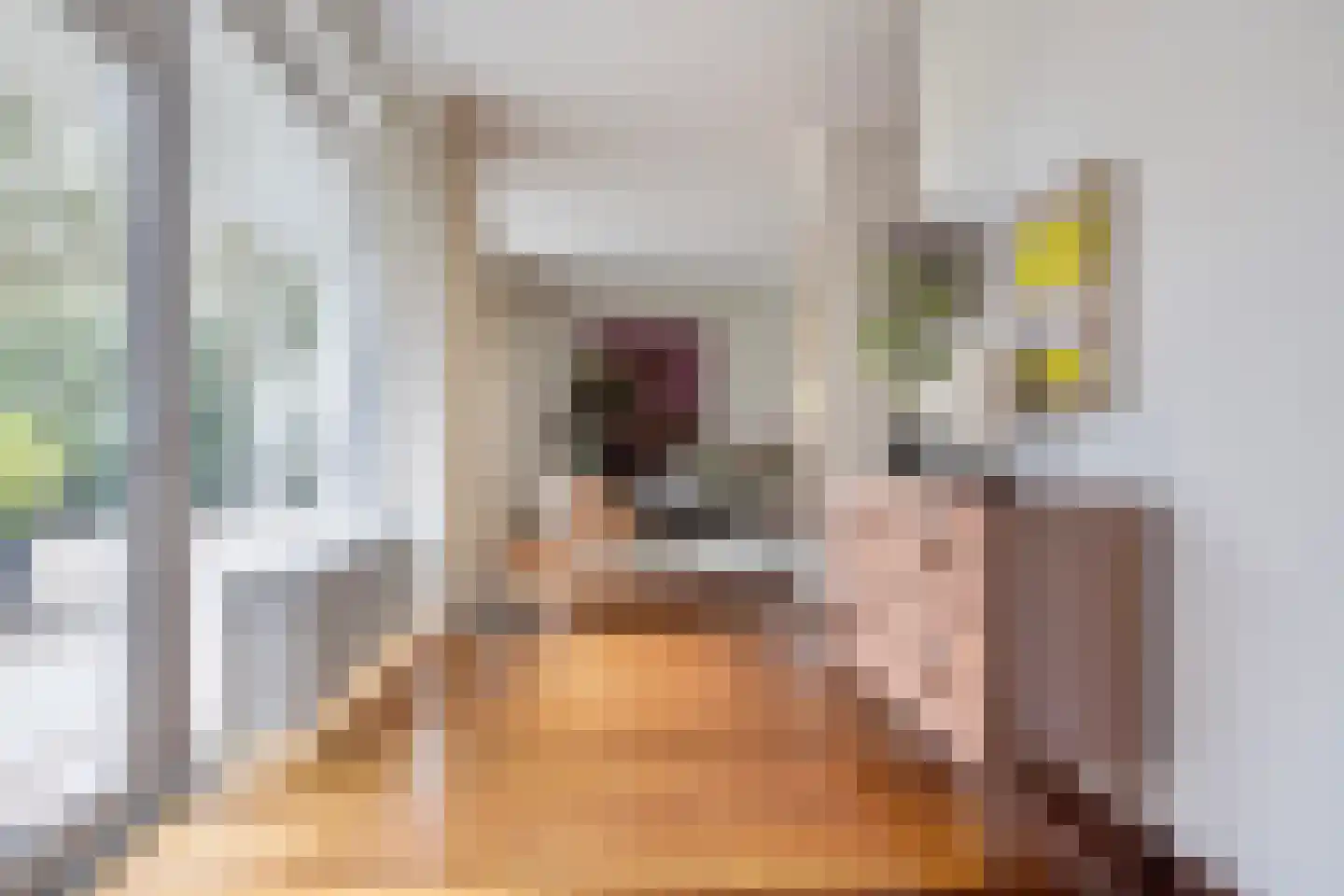 Ridderstraat 37 Oosterhout thumbnail 10