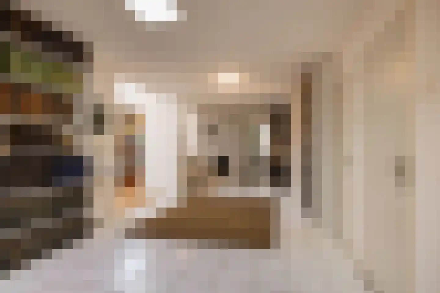 Ridderstraat 37 Oosterhout thumbnail 31